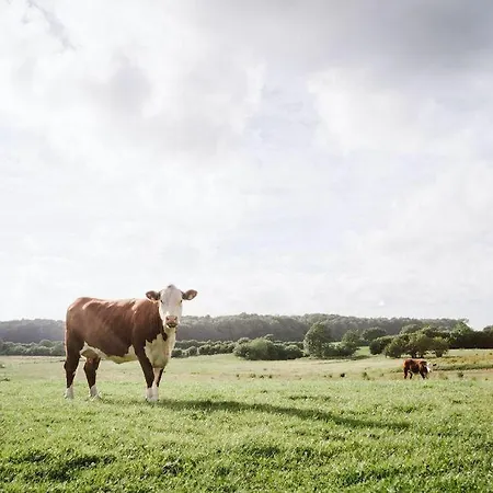 Holiday home Gut-royum-strohlager