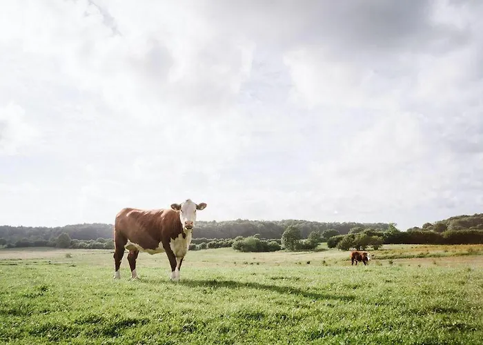 Holiday home Gut-royum-strohlager